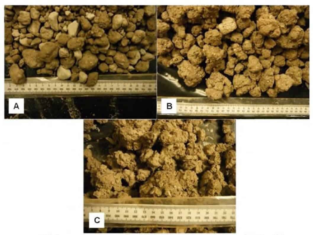 moisture content